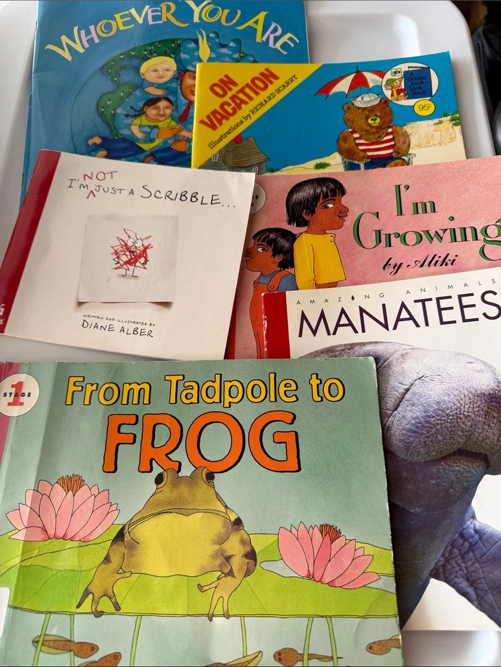 Toddler books bundle